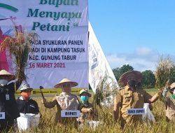Pemkab Berau Komitmen Prioritaskan Penanganan Masalah Pangan