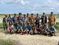 Distanak Berau  Monitoring dan Evaluasi Benih Padi dan Jagung di Kampung Buyung-Buyung
