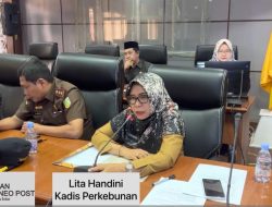 PT BAA Bisa tutup dengan Tiga Syarat