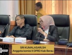 Masih Banyak Batubara di Berau, Mengapa Beli Batu Bara yang Tidak Standar