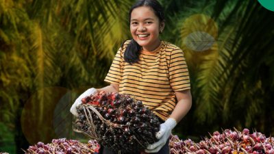 Info Sawit, Bursa Sawit Meluncur Bulan Juni, Harga Sawit Tak Lagi Diatur Malaysia