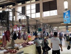 Daging Sapi Di Pasar Sanggam Adji Dilayas Masih Tetap Stabil Menjelang Hari Raya Idul Adha.