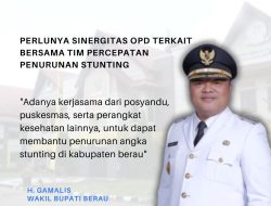 Wabup Sebut Perlunya Sinergitas OPD Terkait Bersama Tim Percepatan Penurunan Stunting