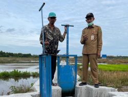 Distanak Sebut Alih Fungsi Lahan, Ancaman Ketahanan Pangan