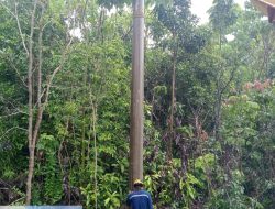 Tahun Ini Kampung Teluk Alulu Teraliri Listrik 100 Persen