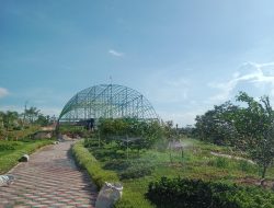 Agrowisata Kebun Ndesa Tanah Merah akan Menyediakan Spot Baru bagi Pengunjung