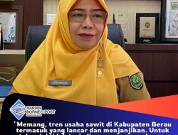 Kadisbun Berau Sebut Produksi Kelapa Sawit di Berau Alami Peningkatan