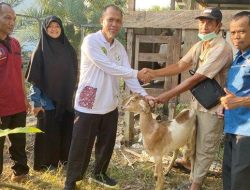 Sepanjang Tahun 2023, Distanak Telah Serahkan Bantuan Peternakan kepada Puluhan Kelompok Tani di Berau