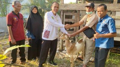 Sepanjang Tahun 2023, Distanak Telah Serahkan Bantuan Peternakan kepada Puluhan Kelompok Tani di Berau