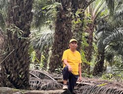 Andi Amir Mundur, Kursi Ketua DPD II Golkar Berau Alami Kekosongan