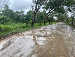 Meski Sudah Dibantu PT Pama, Jalan Utama Kampung Gurimbang Tetap Rusak