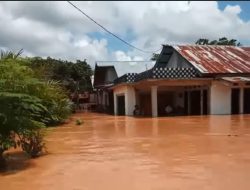 Diduga karena Pembabatan Hutan, DPRD Berau Minta Lakukan Reboisasi