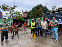 KUPP Tanjung Redeb dan Mitra Kerja Laksanakan Pemotongan 28 Ekor Sapi Kurban