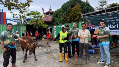 KUPP Tanjung Redeb dan Mitra Kerja Laksanakan Pemotongan 28 Ekor Sapi Kurban
