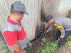  Rumah Warga di Gunung Tabur Nyaris Terbakar, Diduga Dibakar OTK