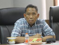 Lampu Ikon Penyu Percantik Tanjung Redeb, DPRD Berau Ingatkan Fungsi Penerangan Harus Optimal