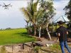 Dari Manual ke Digital, Pertanian Berau Mulai Andalkan Drone untuk Kendalikan Hama
