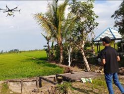 Dari Manual ke Digital, Pertanian Berau Mulai Andalkan Drone untuk Kendalikan Hama