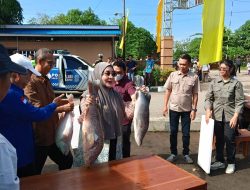 Pasar Ikan Murah Diserbu Warga, Bupati Berau Dorong Digelar Rutin di 13 Kecamatan