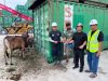 PT PASN dan PMB Salurkan 81 Sapi dan 4 Kambing untuk Warga Berau