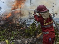 Gamalis Ingatkan Warga Tak Bakar Lahan