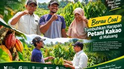 Berau Coal Tumbuhkan Harapan Petani Kakao di Maluang